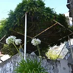 Farm stay Casa Da Ponte Do Arrocho *