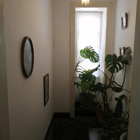 Casa Da Ponte Do Arrocho